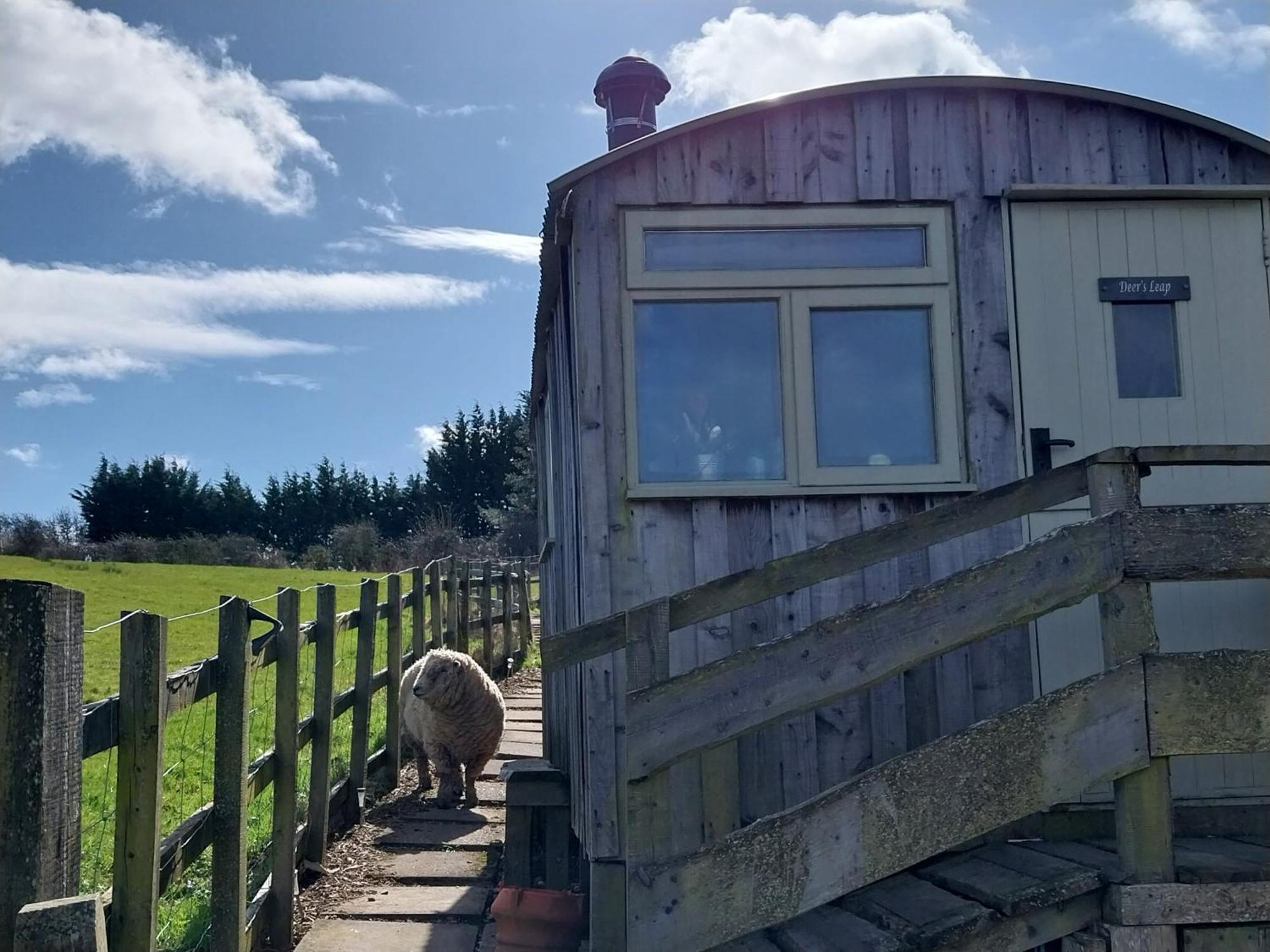 Meadowbeck - Shepherd Huts Fylingdales Екстер'єр фото